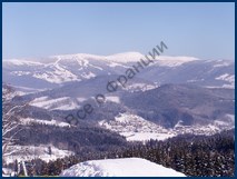 Благородный Сарла